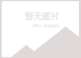 青岛黄岛白山金融有限公司